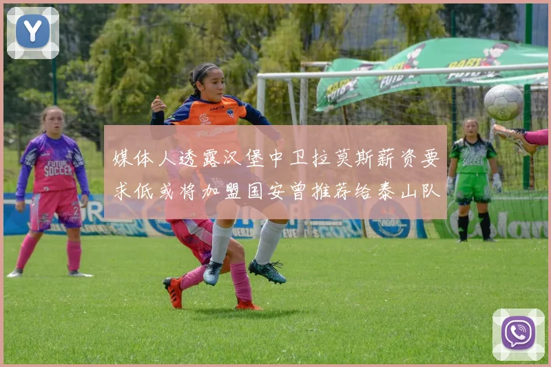 媒体人透露汉堡中卫拉莫斯薪资要求低或将加盟国安曾推荐给泰山队